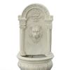 Lion Hanging Wall Fountain
