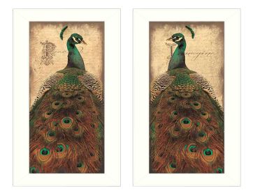 "Peacock Collection" 2-Piece Vignette By John Jones, Printed Wall Art, Ready To Hang Framed Poster, White Frame