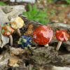 Garden Decoration Ceramic Ornament Mushroom