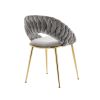 COOLMORE Accent Chairs Set of 2, Velvet Side Chairs with Gold Legs, Mid-Century Upholstered Dining Chairs for Living Room, Kitchen, Bedroom, Beauty Ro