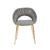 COOLMORE Accent Chairs Set of 2, Velvet Side Chairs with Gold Legs, Mid-Century Upholstered Dining Chairs for Living Room, Kitchen, Bedroom, Beauty Ro