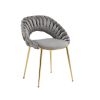 COOLMORE Accent Chairs Set of 2, Velvet Side Chairs with Gold Legs, Mid-Century Upholstered Dining Chairs for Living Room, Kitchen, Bedroom, Beauty Ro