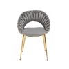 COOLMORE Accent Chairs Set of 2, Velvet Side Chairs with Gold Legs, Mid-Century Upholstered Dining Chairs for Living Room, Kitchen, Bedroom, Beauty Ro
