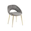COOLMORE Accent Chairs Set of 2, Velvet Side Chairs with Gold Legs, Mid-Century Upholstered Dining Chairs for Living Room, Kitchen, Bedroom, Beauty Ro